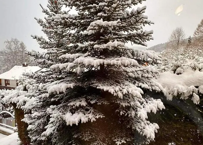 Góralska Chata&spa Dom wakacyjny